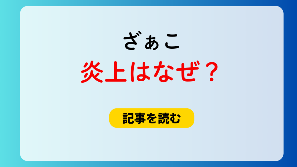 【動画】ざぁこ（柊マグネタイト）の炎上理由4つ！海外勢から非難？